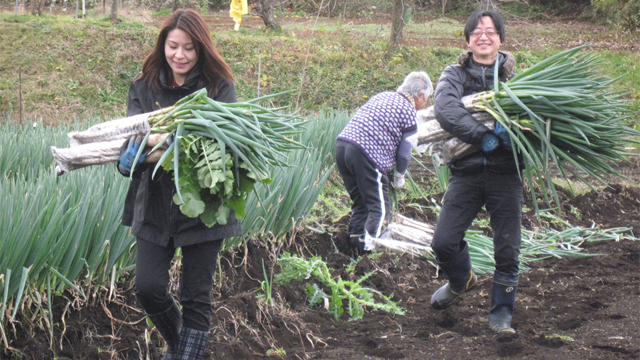 ���l�M�I�[�i�[�̌�