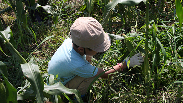 �I�n��؂̎��n�̌�