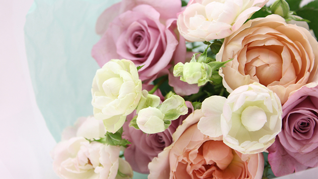 �u�[�P���̌�