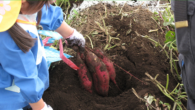 ���܈��@��̌�