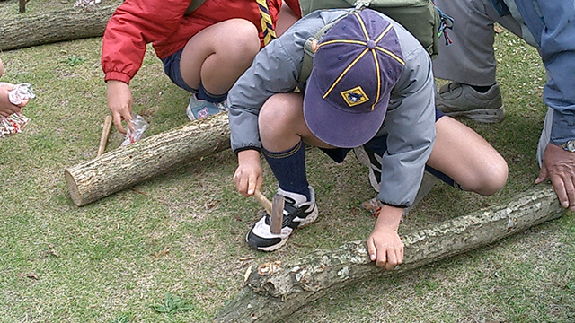 �ő��̎��n�̌�