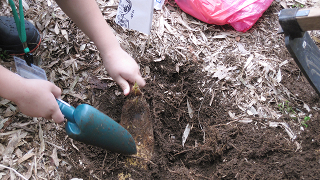 �����̂��x��̌��iNPO�@�l�|����̗��j