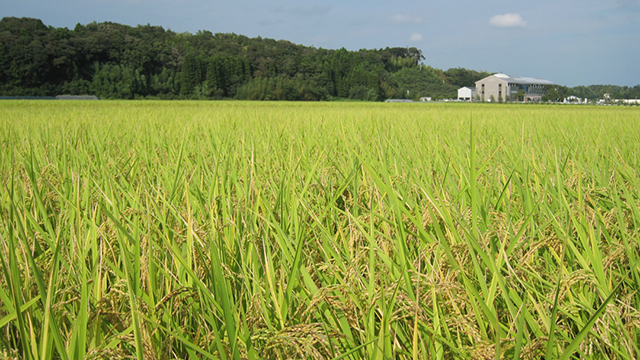 ���E�č��I�[�i�[�̌��i������c�_�g���E������c�_�g���E���g���c�_�g�j