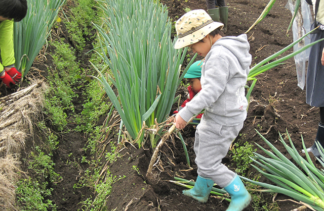 �l�M�̃I�[�i�[�̌��i�������˂����Y�g���j