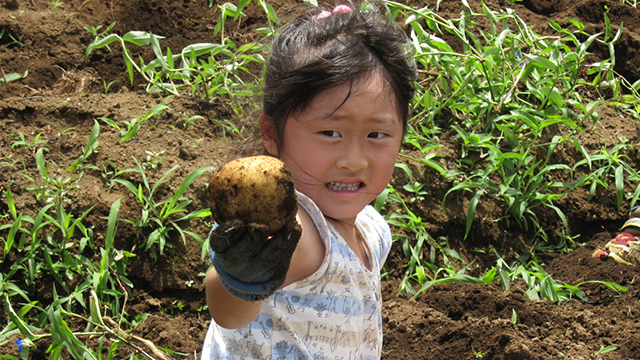 �R���i�Ђ́u���l���𐁂���΂��I�v�Ƃ΂���ɁA�y�̊��G���y���݁B���C�����ς��W���K�C�����@��܂����B