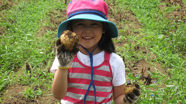 �R���i�Ђ́u���l���𐁂���΂��I�v�Ƃ΂���ɁA�y�̊��G���y���݁B���C�����ς��W���K�C�����@��܂����B